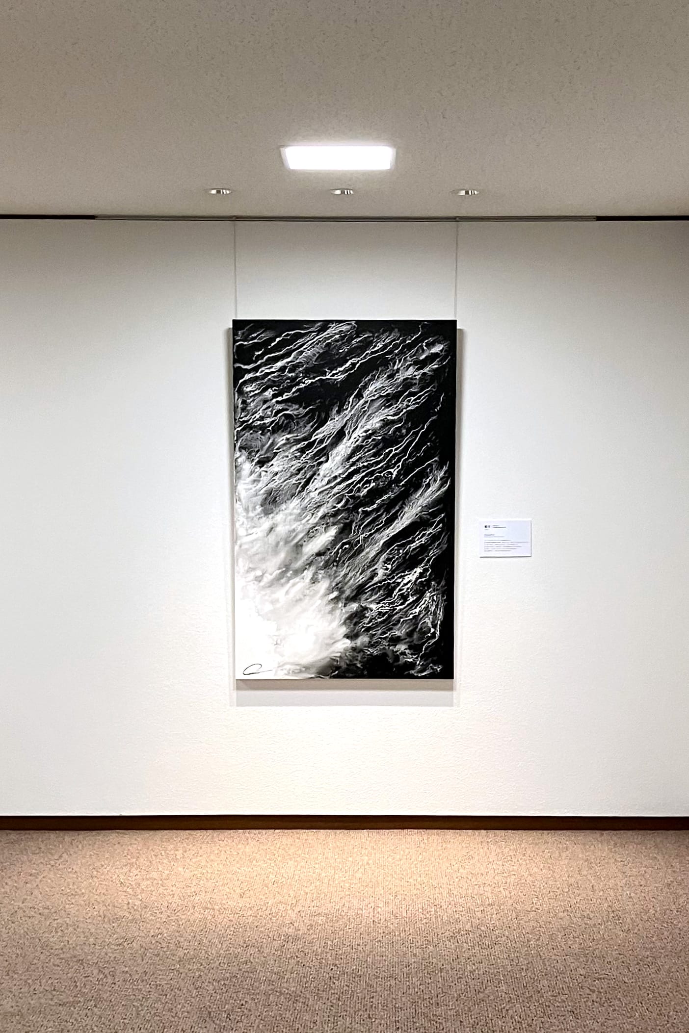 四国電力株式会社の廊下に展示されている郷祥氏の作品『Natural#23』